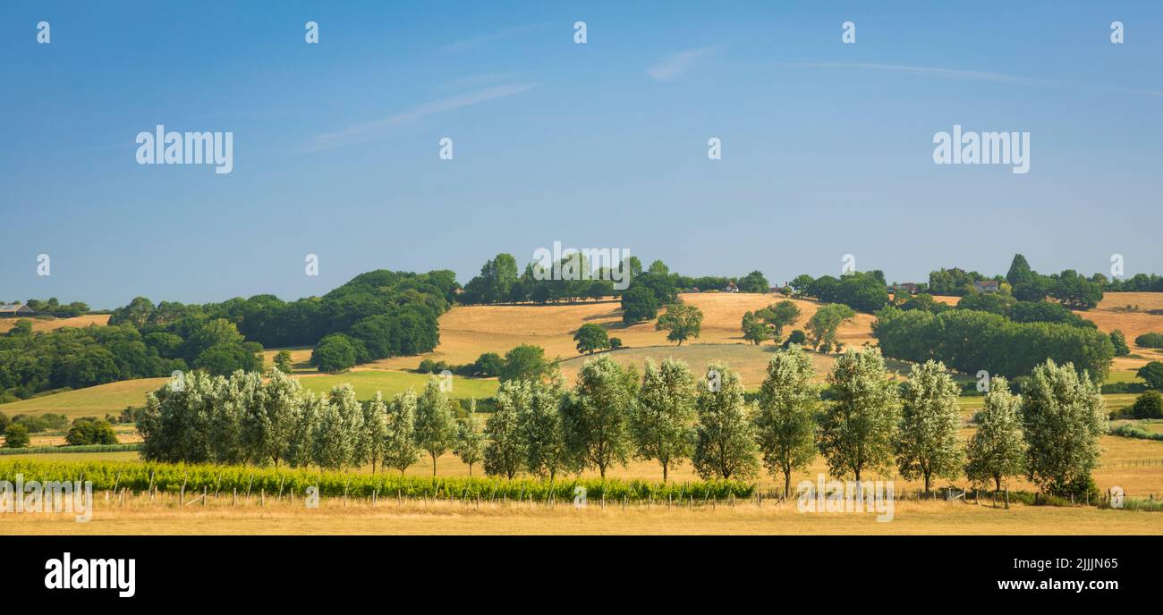 Along the 1066 country walk from Icklesham over the high weald and the Brede valley East Sussex south east England Stock Photo