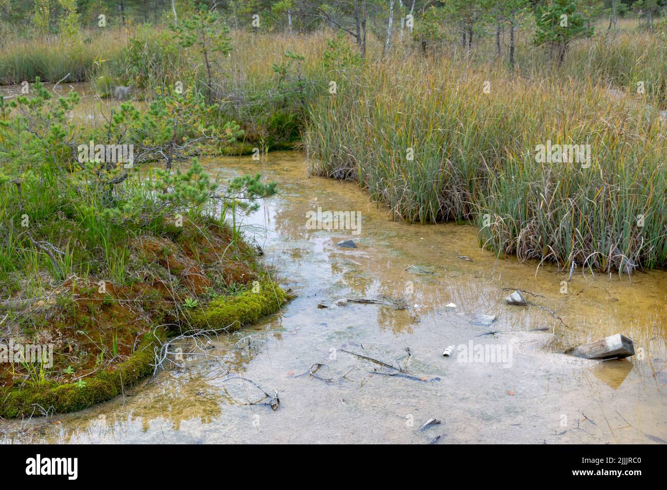landscape with Sulfur Pond, which are water llamas formed on the ...