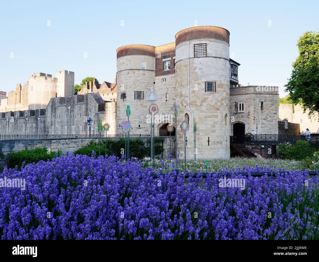 London, Greater London, England, June 22 2022: Lavender blooming in front of the Tower Of London. Stock Photo