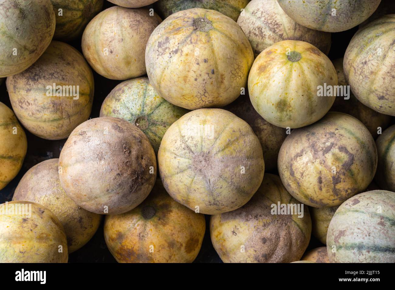 fresh organic Cantaloupe from farm close up from different angle Stock Photo