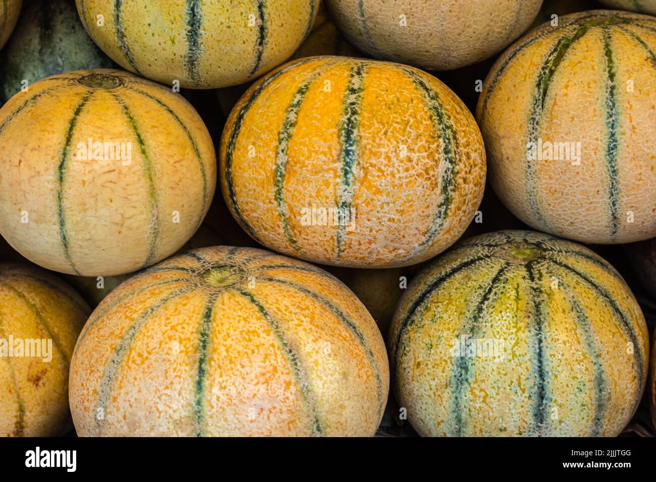 fresh organic muskmelon from farm close up from different angle Stock Photo
