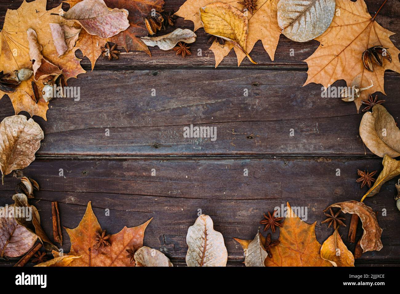 Thanksgiving background. Autumn leaves on wooden background with copy ...