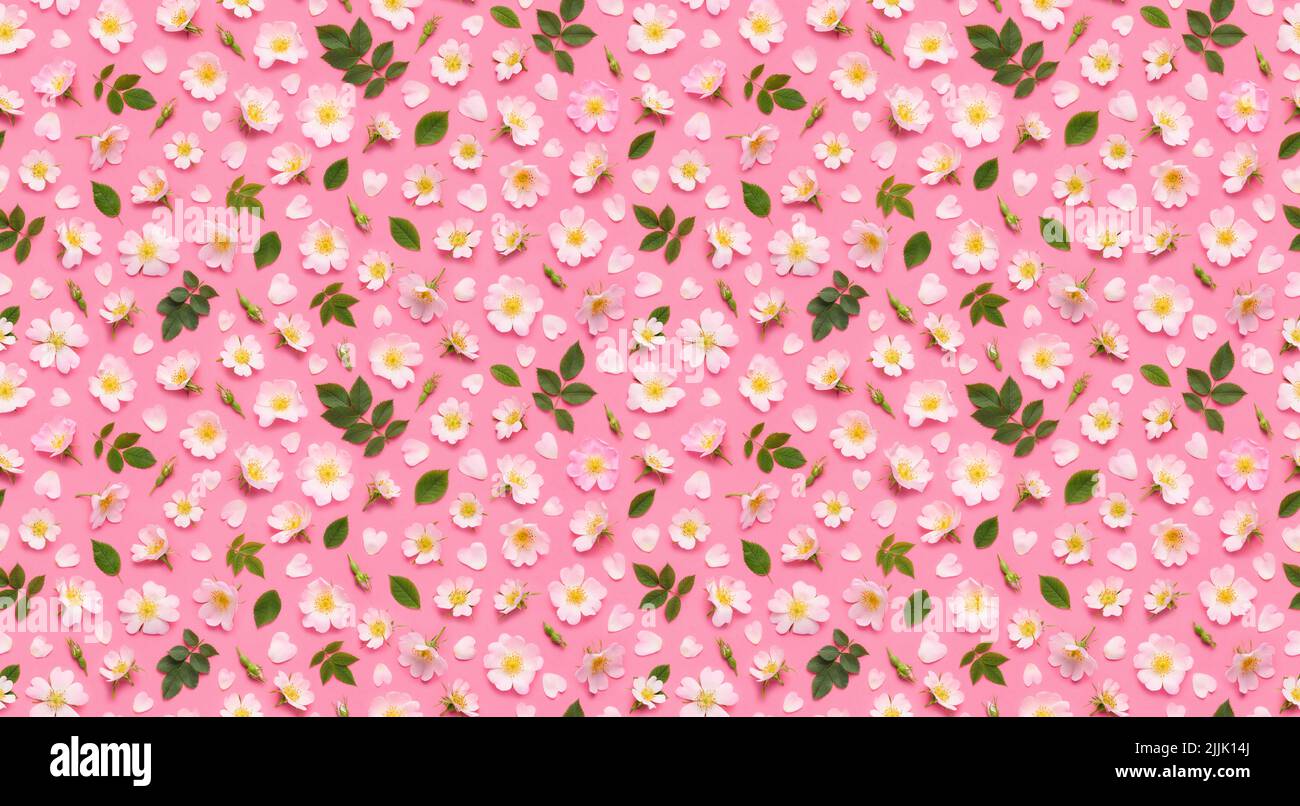 Seamless floral pattern of rose flowers, leaves buds and heart shaped petals on pink background top view flat lay Stock Photo