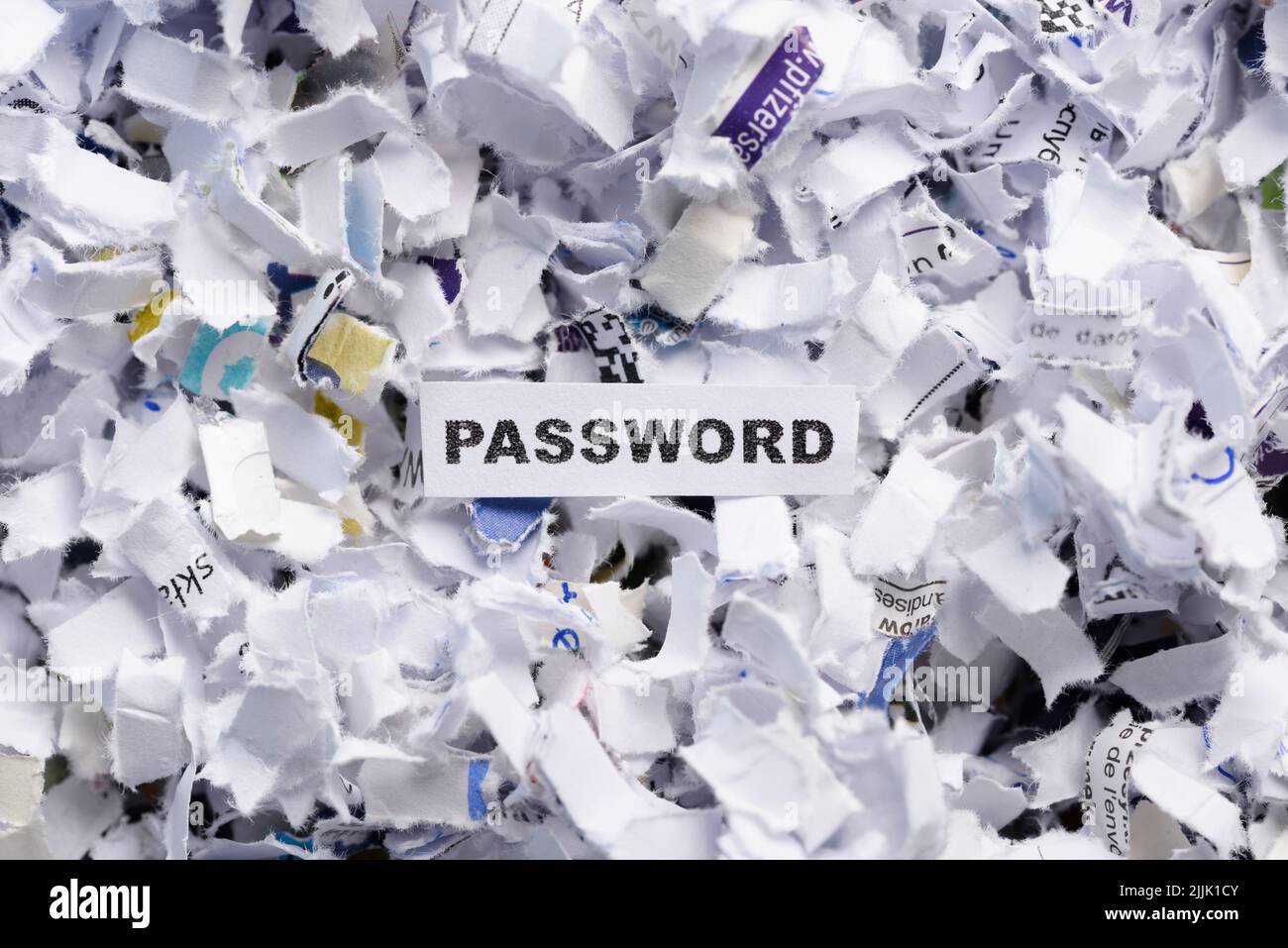Word Password on top of heap of cross shredded paper top view Stock Photo