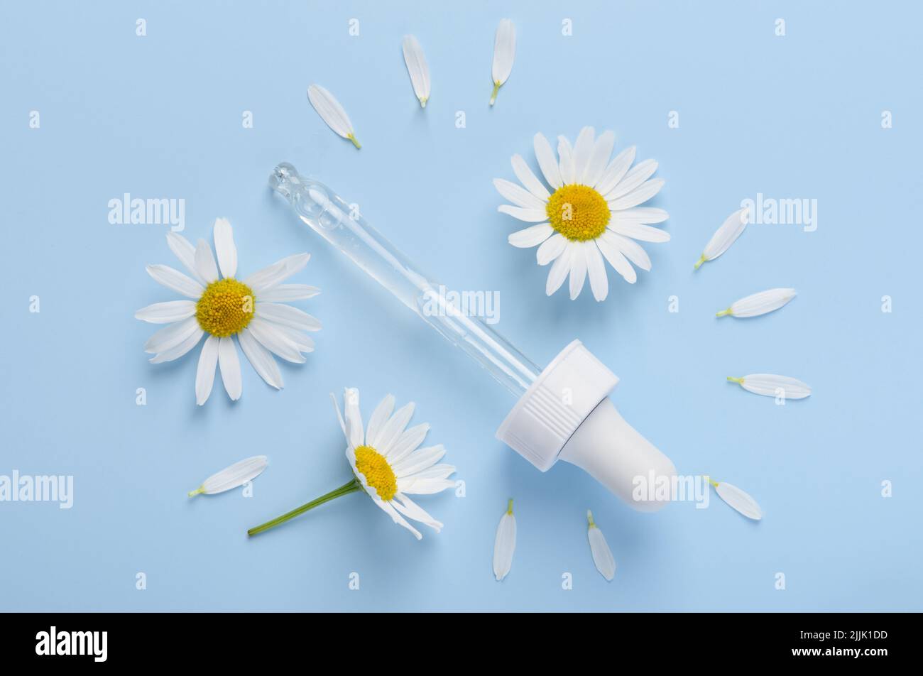 Cosmetic skincare serum dropper with chamomile flowers and petals on blue background top view Stock Photo