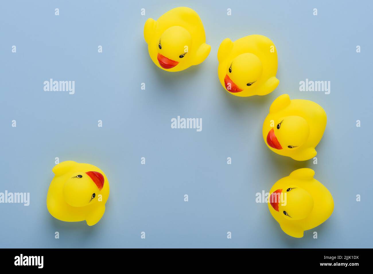 One rubber duck in front of group, announcement, education or meeting concept, on blue background top view Stock Photo