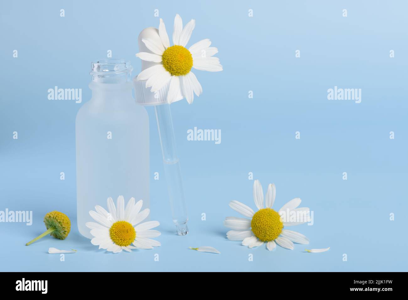 Cosmetic skincare serum dropper and bottle with chamomile flowers and petals on blue background  with copy-space Stock Photo