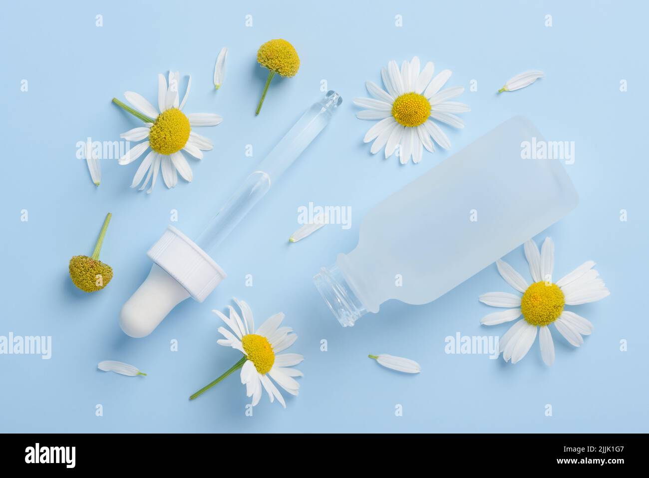 Cosmetic skincare serum dropper and bottle with chamomile flowers and petals on blue background top view Stock Photo