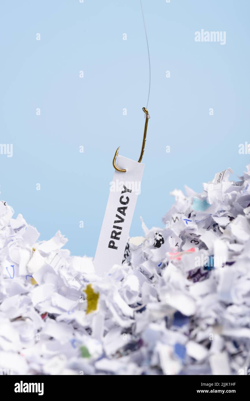 Word Privacy hooked on fishing hook pulled from pile of shredded documents on blue background Stock Photo