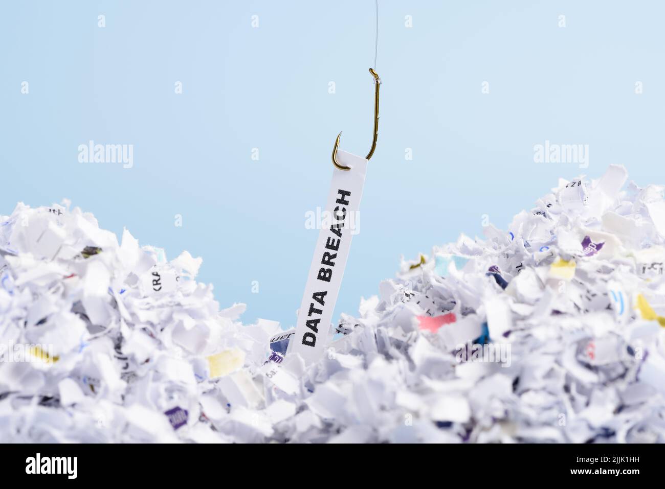 Word Data breach hooked on fishing hook pulled from pile of shredded documents on blue background Stock Photo