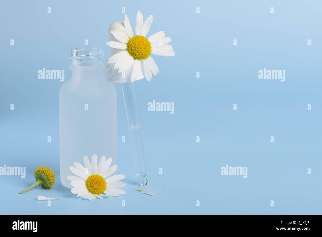 Cosmetic skin care serum dropper and bottle with chamomile flowers on blue background  with copy-space Stock Photo