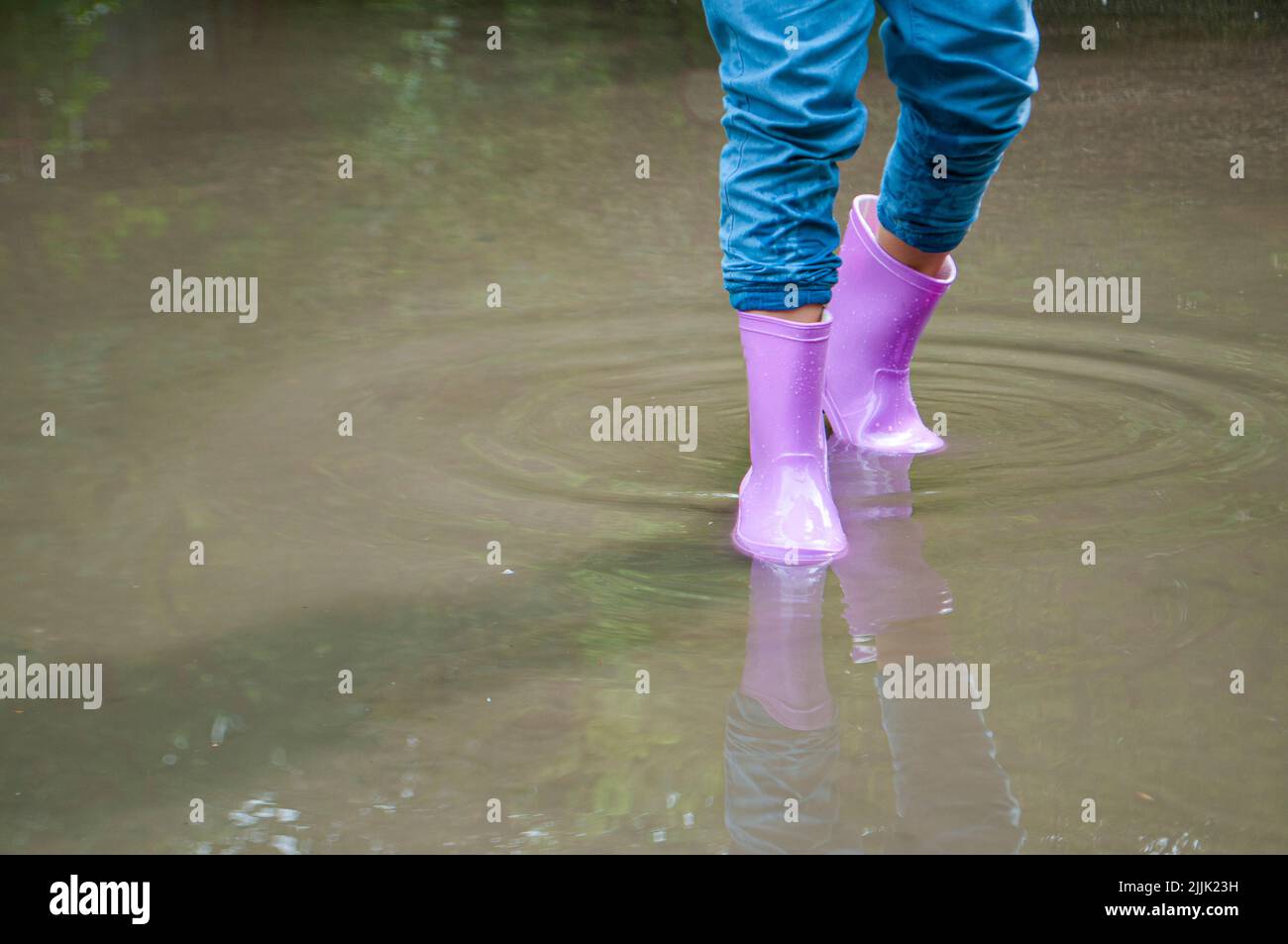 A girl in purple rubber boots is playing in muddy puddles Stock Photo ...