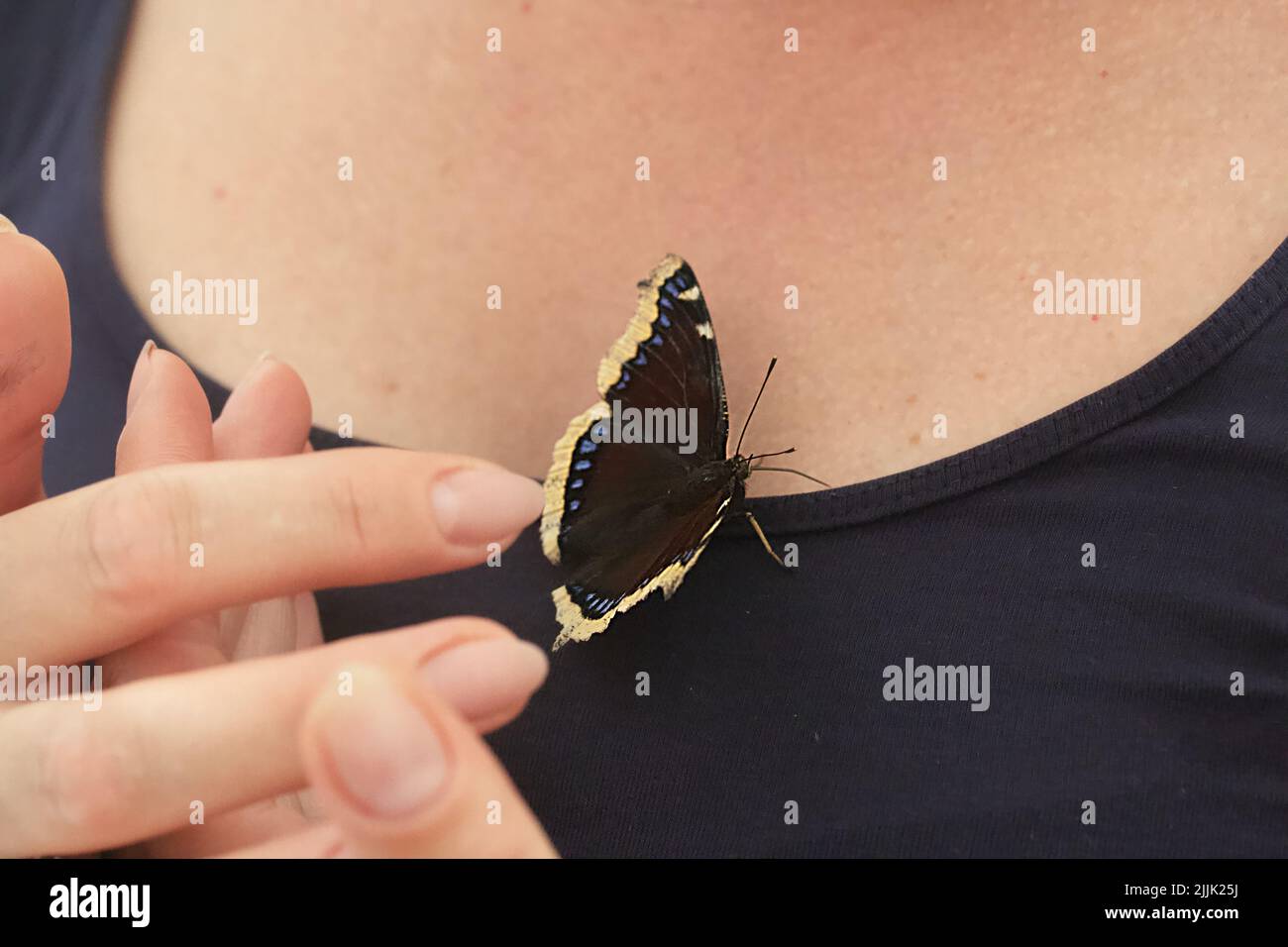 A mourning butterfly on a woman's chest. Spread her wings. Closeup