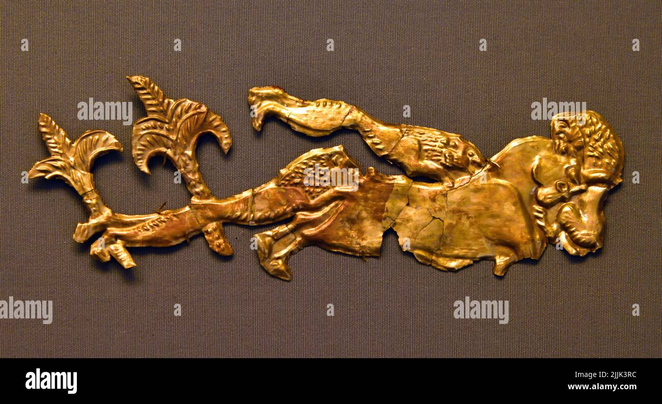 Gold elliptical funeral diadems from Shaft Grave III  Mycenaean Greece , Mycenaean civilization, Bronze Age in Ancient Greece 1750 to 1050 BC, Mycenae, National Archaeological Museum in Athens.Mycenaean Greece , Mycenaean civilization, Bronze Age in Ancient Greece 1750 to 1050 BC, Mycenae, National Archaeological Museum in Athens. Stock Photo