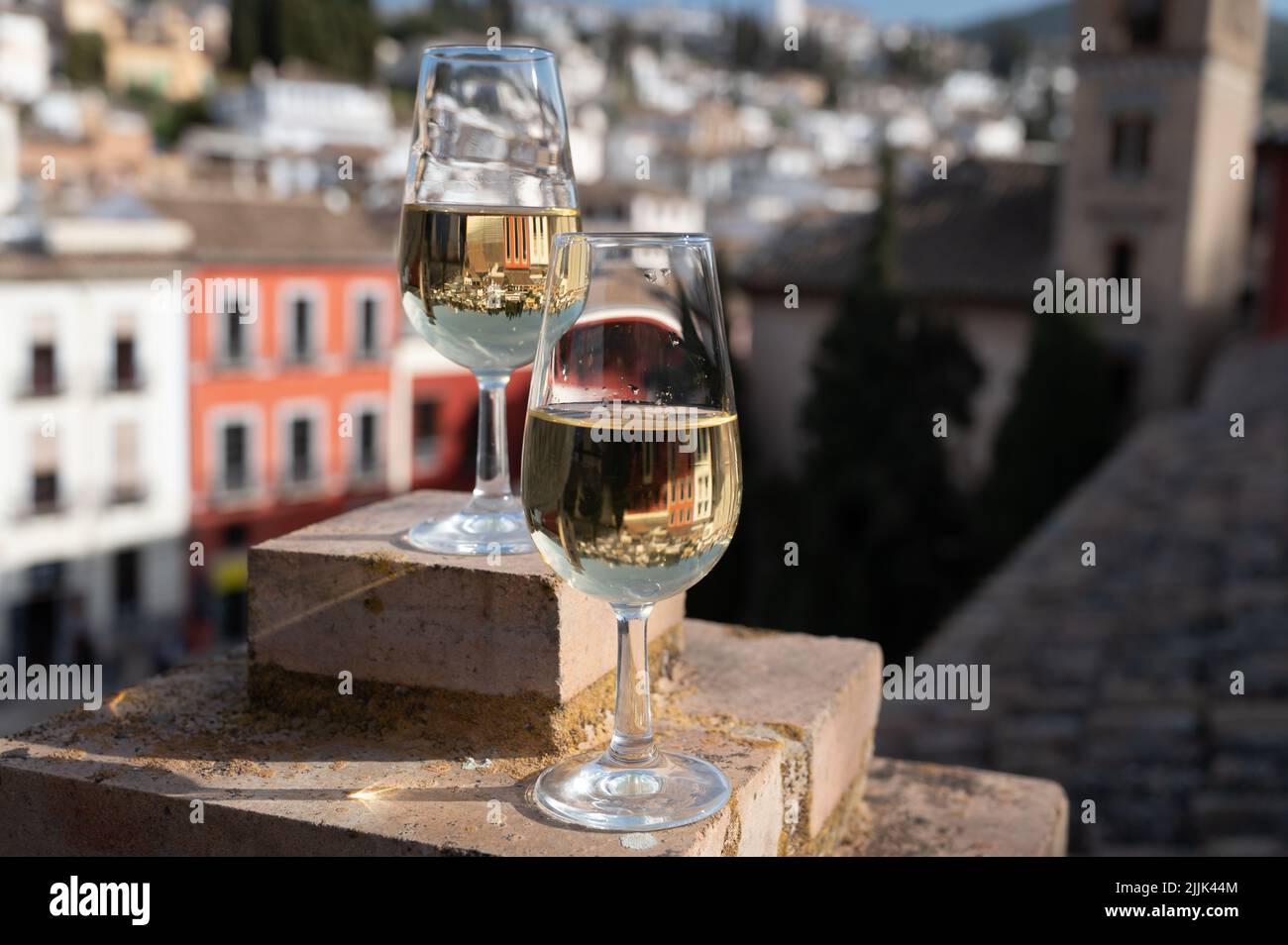 Tasting of sweet and dry fortified Vino de Jerez sherry wine with view