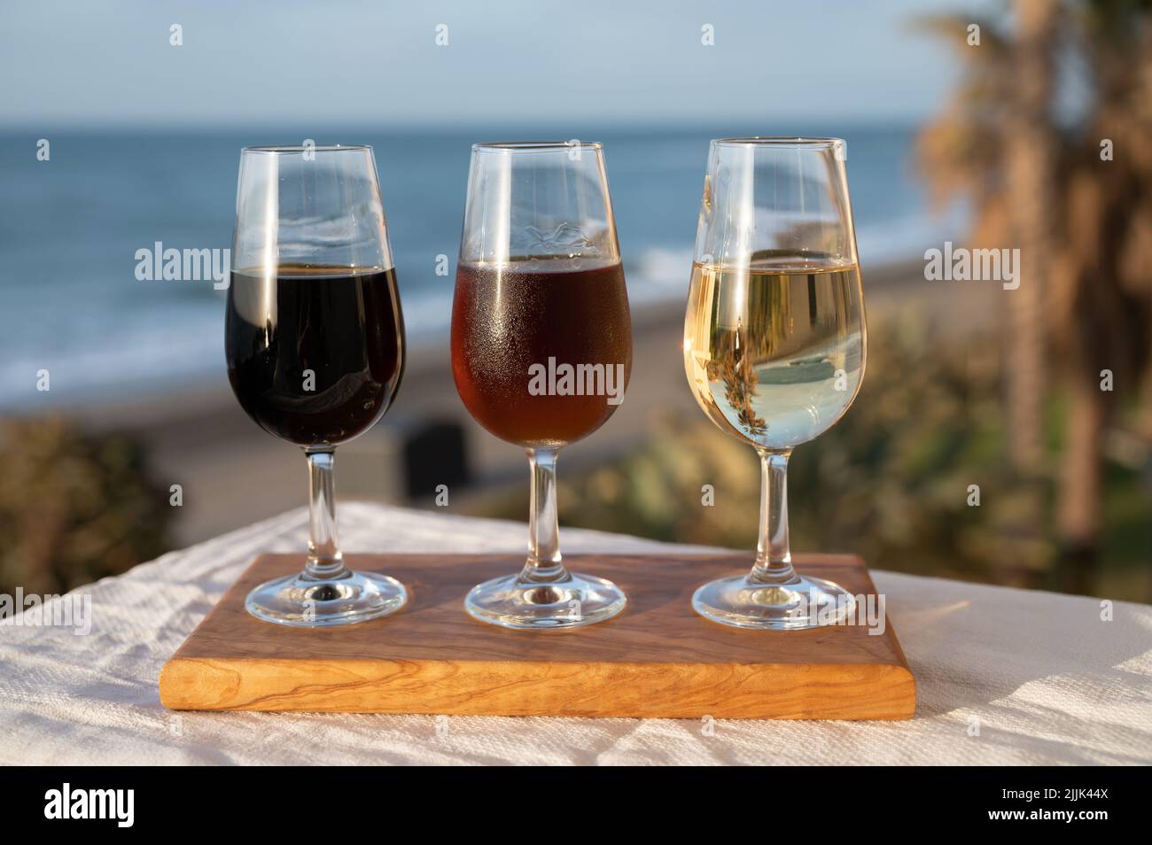 Tasting of Spanish sweet and dry fortified Vino de Jerez sherry wine