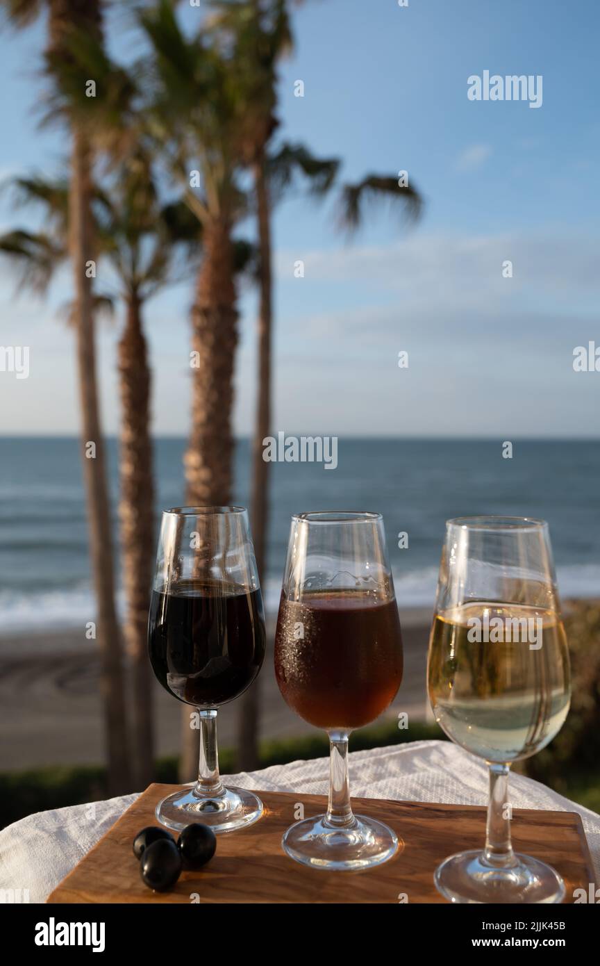 Tasting of Spanish sweet and dry fortified Vino de Jerez sherry wine