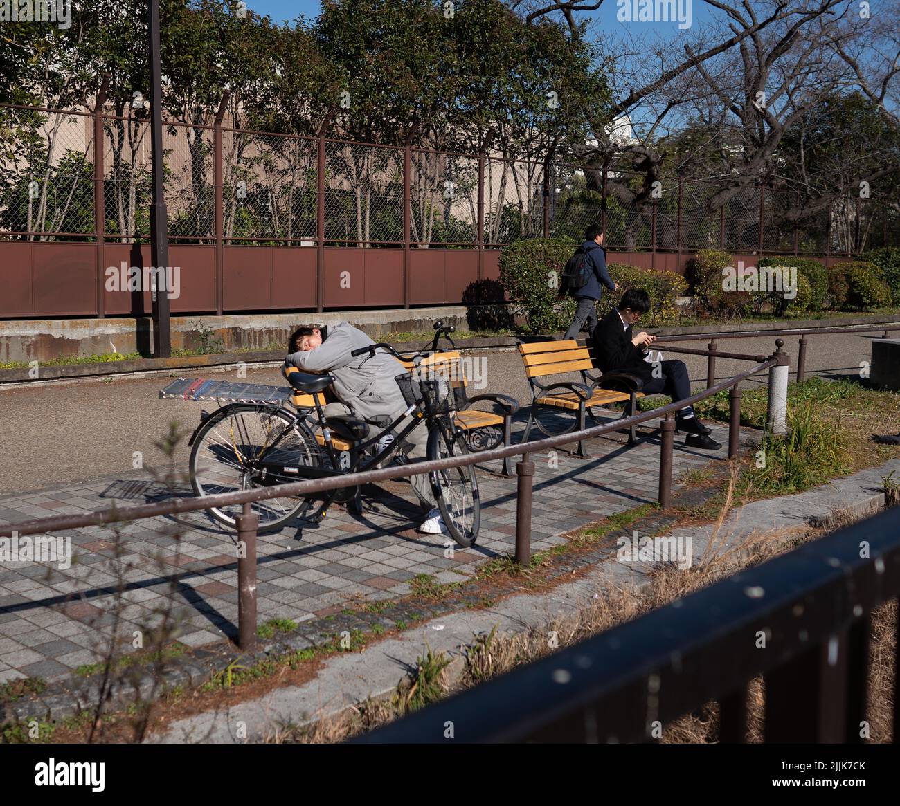 A man takes a nap on a bench near his bike in Ueno Park, Tokyo Stock Photo