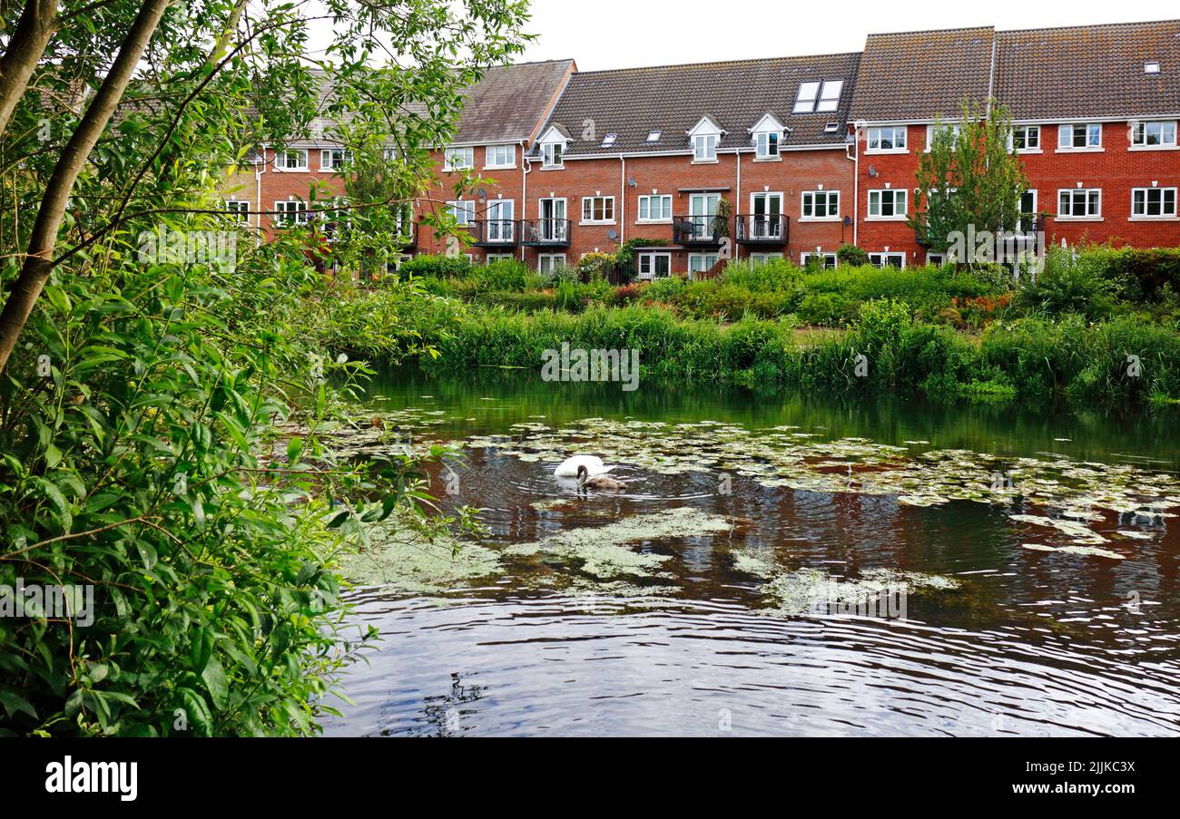 Architecture and design of modern flats and apartments built by the River Wensum in the north of the City of Norwich, Norfolk, England, UK. Stock Photo