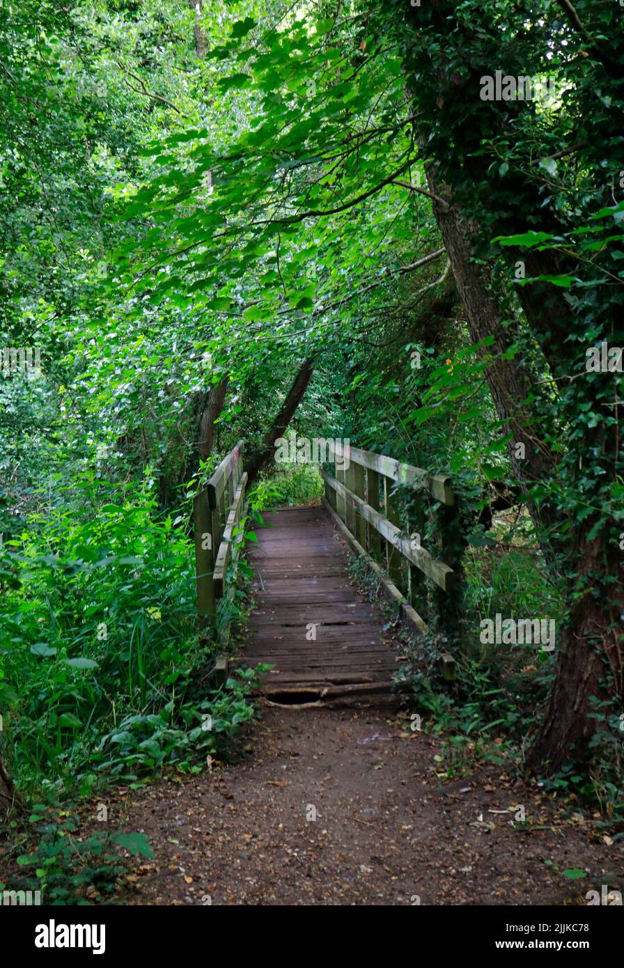 A view of a wooden pedestrian footbridge on a footpath through Train Wood near the former City Station in the City of Norwich, Norfolk, England, UK. Stock Photo