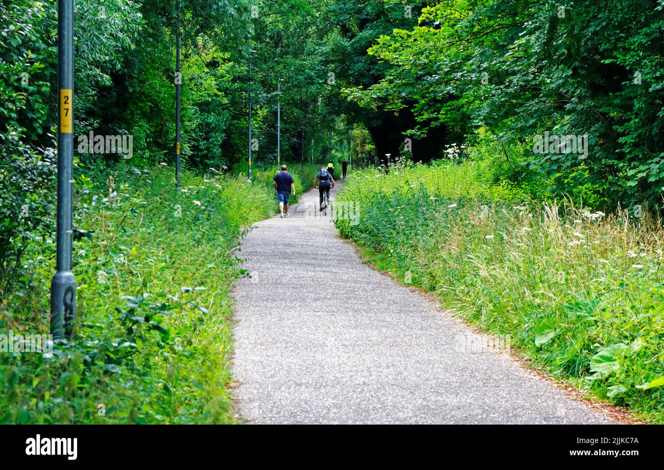 A view of walkers and cyclists on the Marriott's Way long distance path in the north of the City of Norwich, Norfolk, England, United Kingdom. Stock Photo