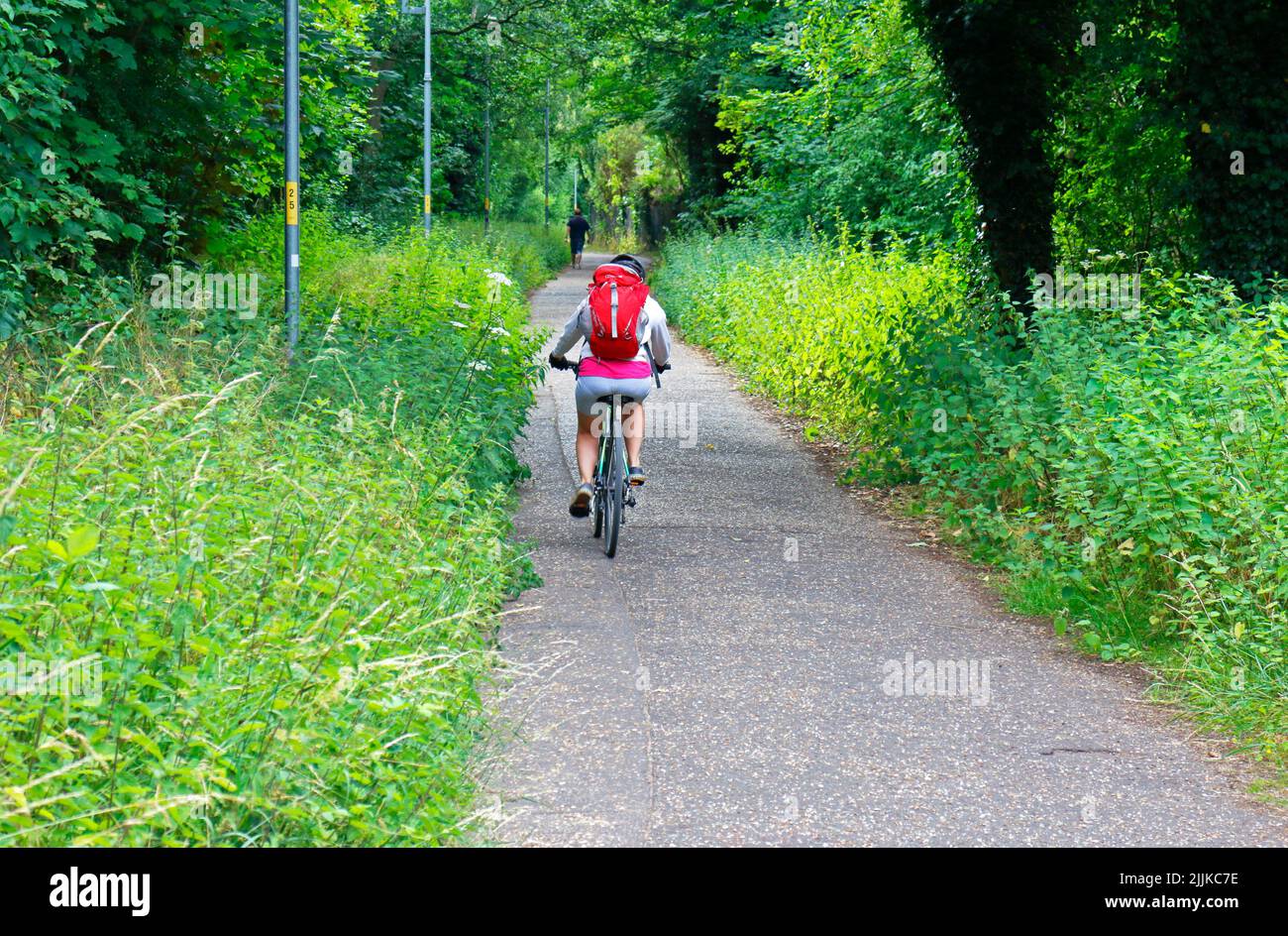 A view of a cyclist and a walker on the Marriott's Way long distance path in the north of the City of Norwich, Norfolk, England, United Kingdom. Stock Photo