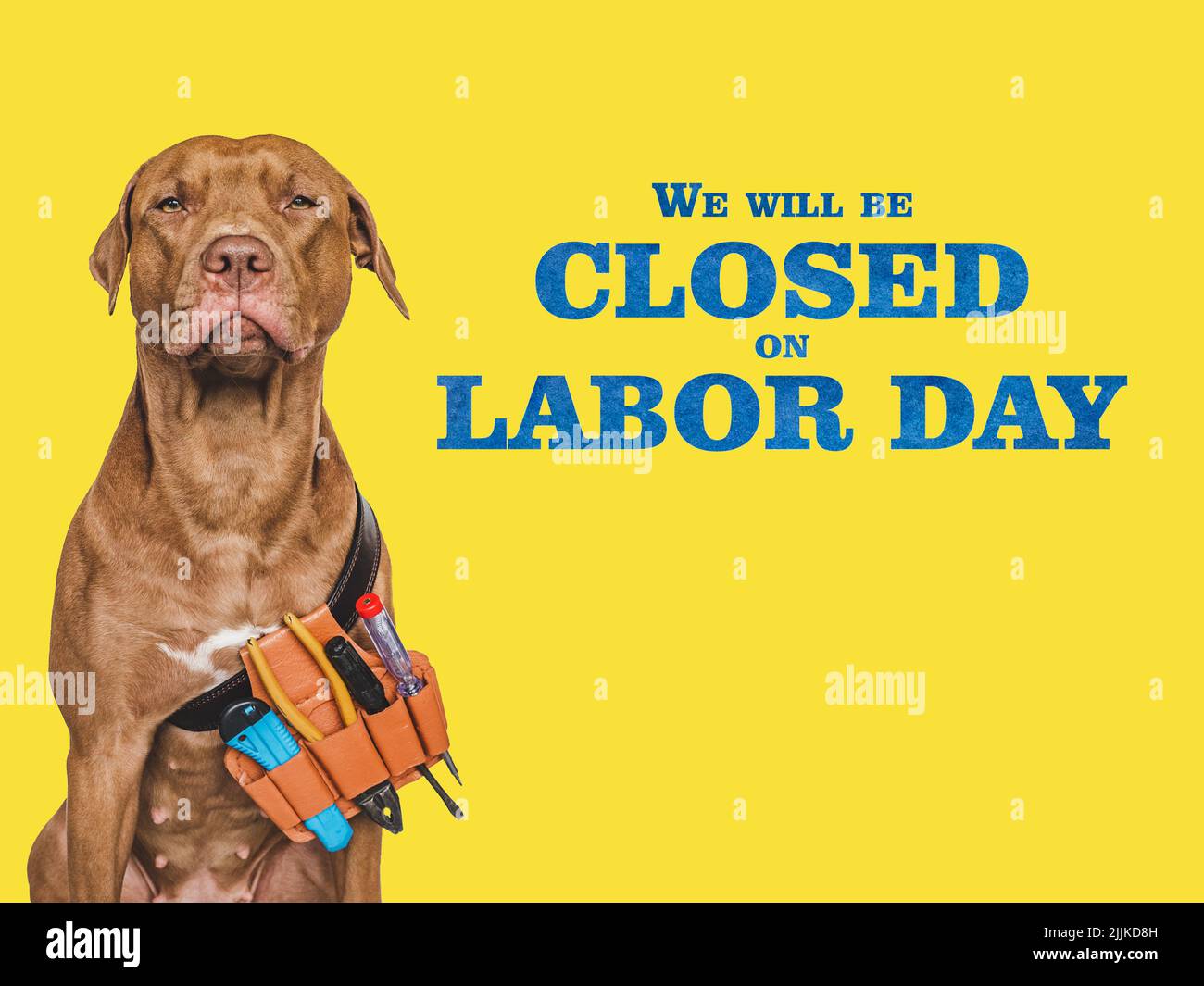 Signboard with the inscription We will be closed on Labor Day. Lovable,  pretty puppy and hand tools. Closeup, indoors. Studio photo.  Congratulations f Stock Photo - Alamy