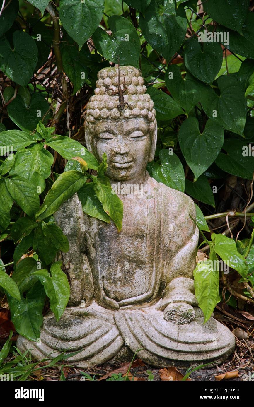 Lizard sculpture hi-res stock photography and images - Alamy