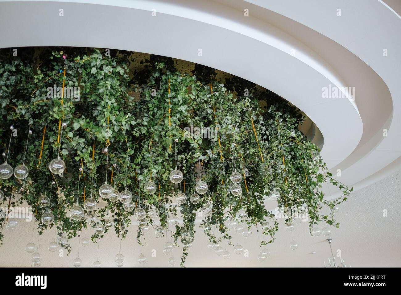 A low angle shot of hanging green plant decorations and lights from a ...
