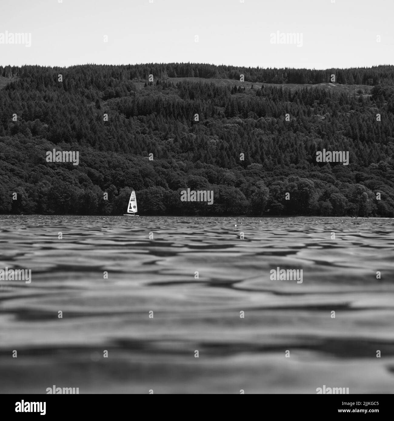 Lone sail boat on a lake Stock Photo - Alamy