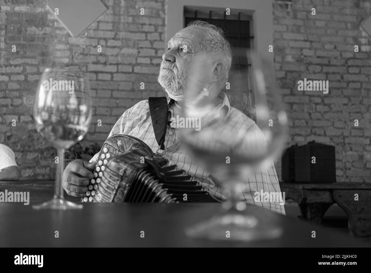A grayscale shot of an accordion player playing traditional songs in a restaurant Stock Photo
