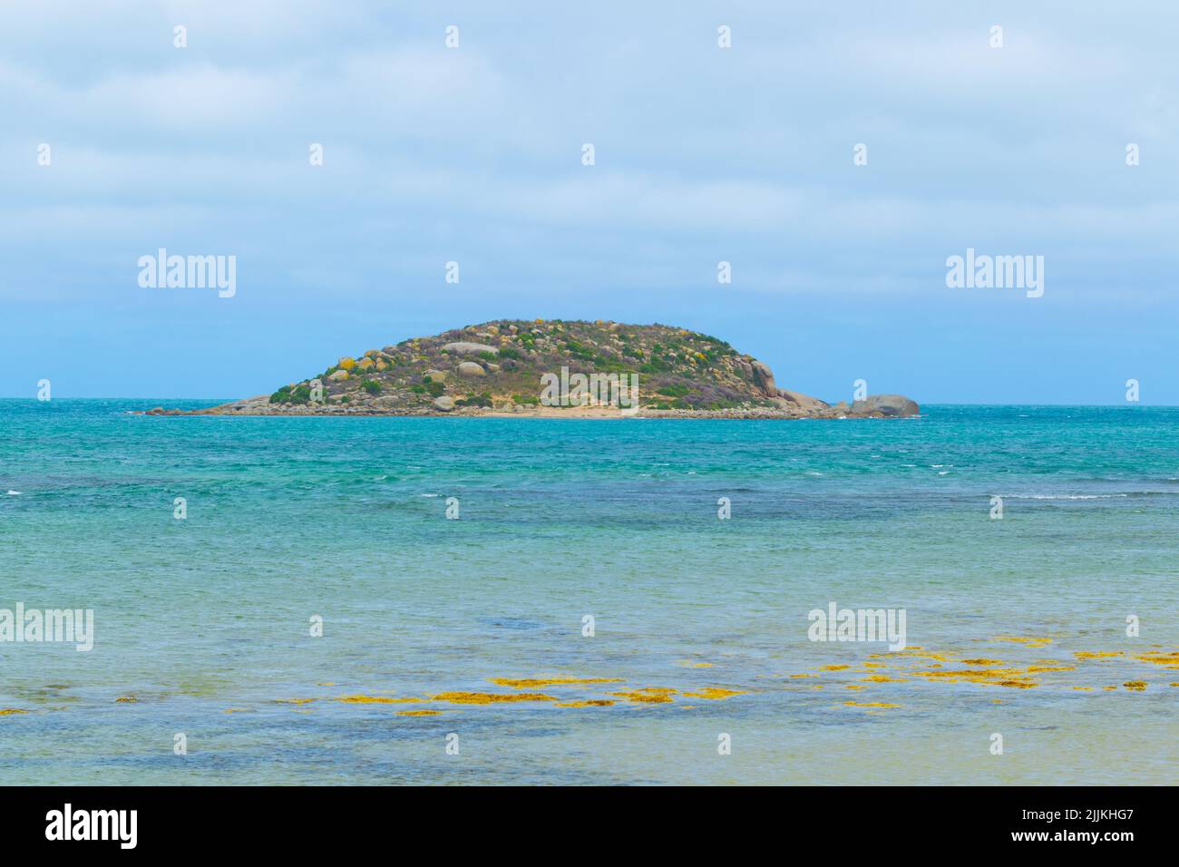 Wright Island on Encounter Bay at Victor Harbor in South Australia. Stock Photo