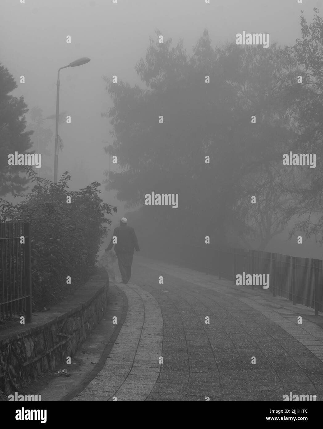 The people walking on the fog-covered road surrounded by high trees Stock Photo