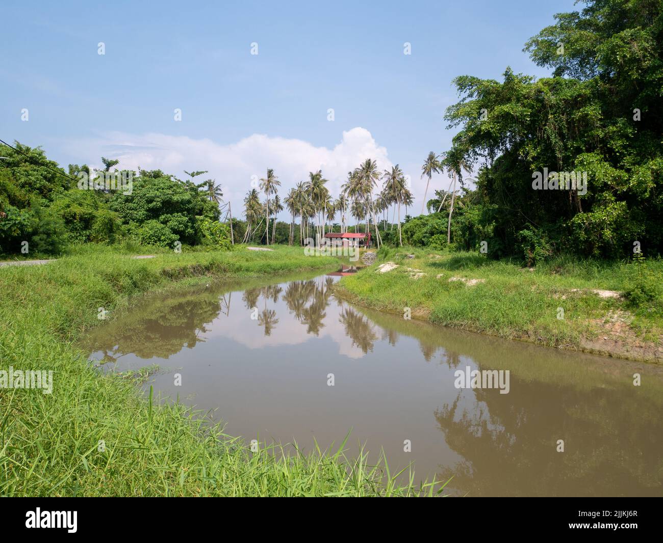 Reflection Of Grass In Water And Background Of Muddy Water, Grass  Reflection In Water Muddy Water And Dirty Water After Raining Stock Photo,  Picture and Royalty Free Image. Image 82266237.