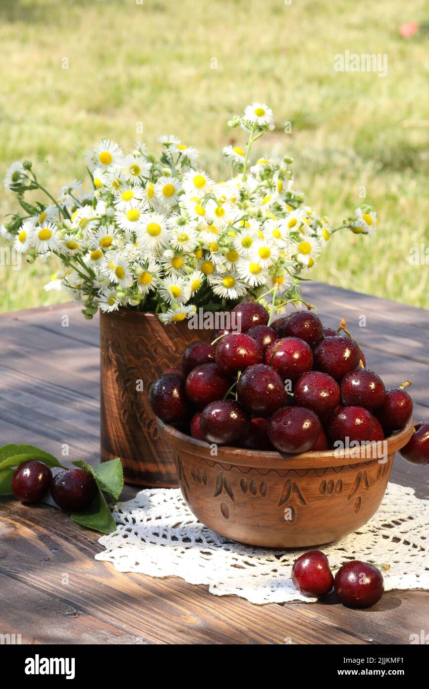sweet cherries on wooden table in the garden Stock Photo