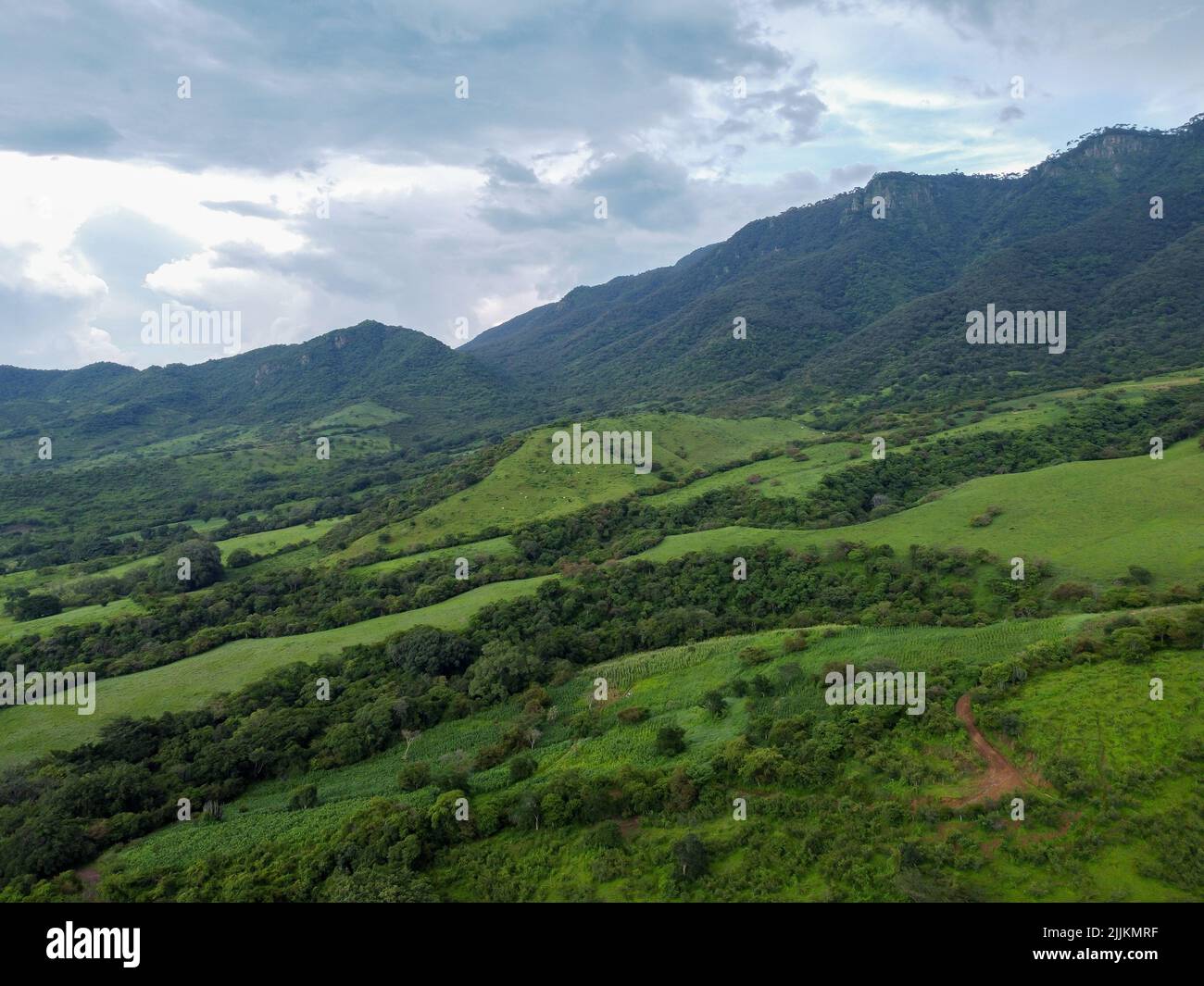 A drone view of a green landscape full of trees in the background of mountains. Stock Photo