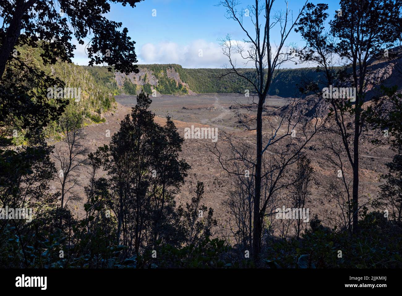 overlooking kilauea iki crater from wooded trail at hawaii volcanoes national park Stock Photo