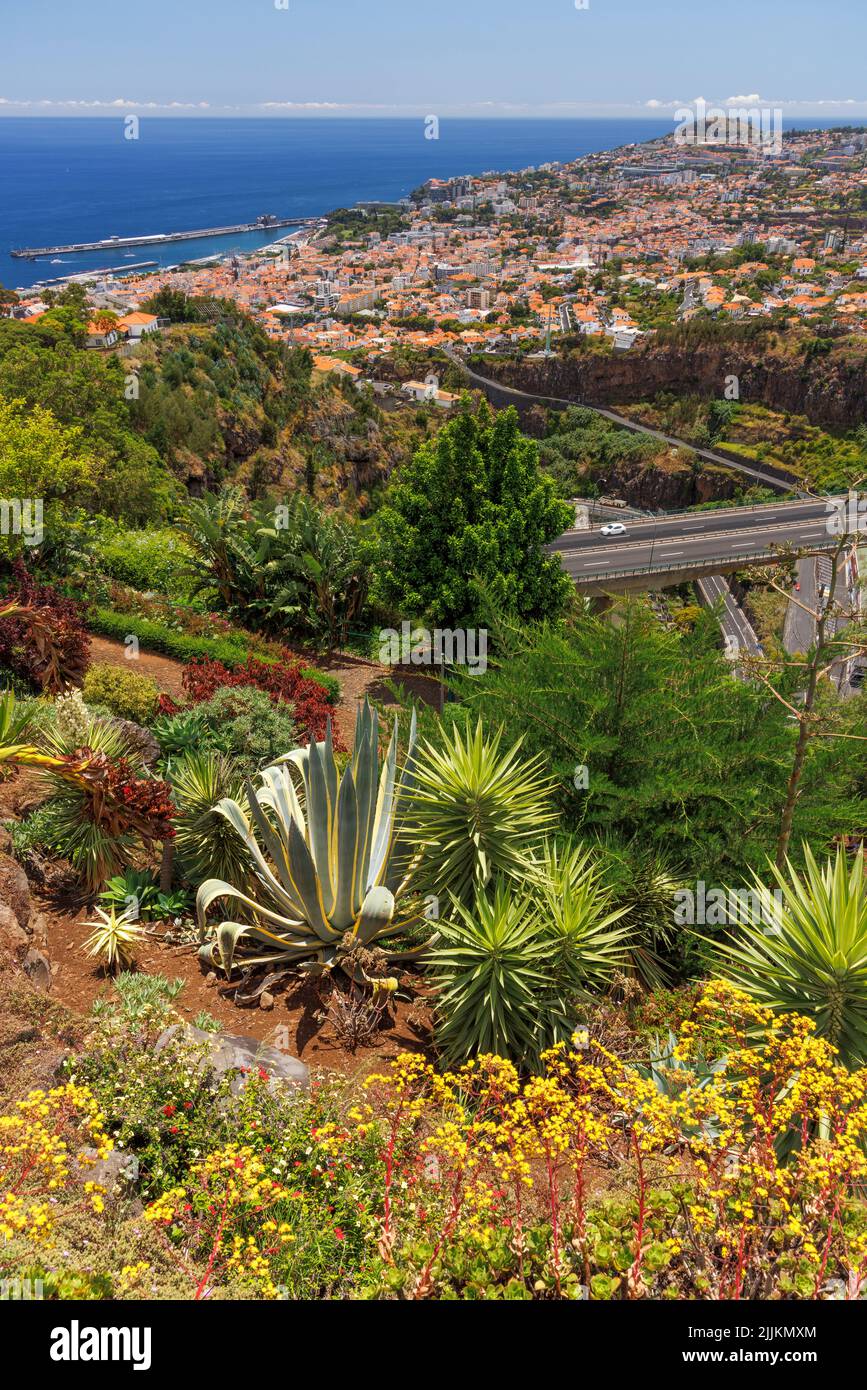 View of Funchal from Madeira Botanical Garden, Madeira, Portugal Stock Photo