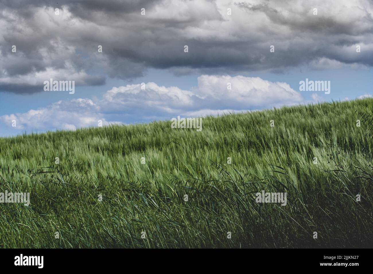 Dark stormy landscape hi-res stock photography and images - Alamy