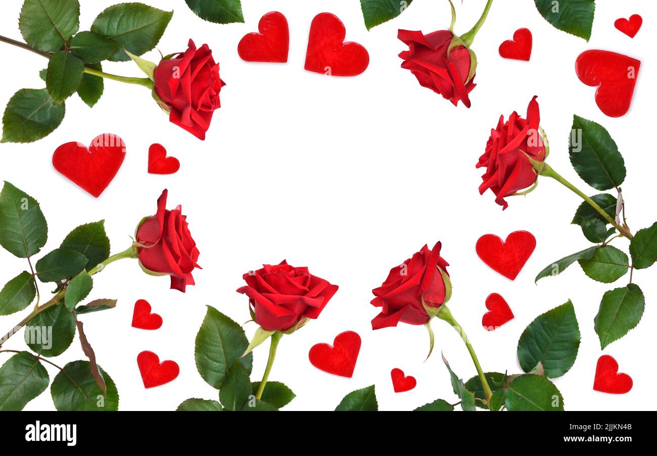 Red roses flowers and hearts on a white background, copy space, top ...