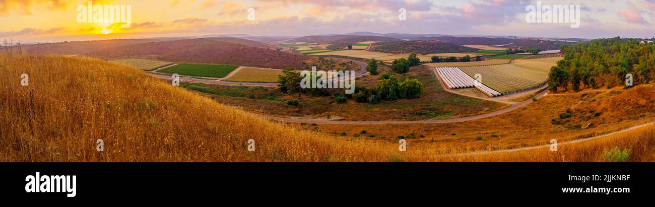 Sunrise panorama of countryside and rolling hills in the Shephelah region, near Lachish, south-central Israel Stock Photo