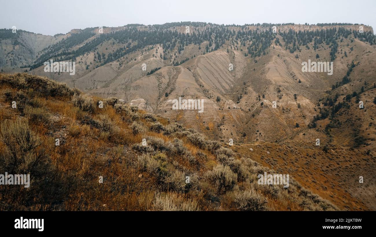 A landscape from Yellowstone National Park with deserted hills and some forested areas Stock Photo