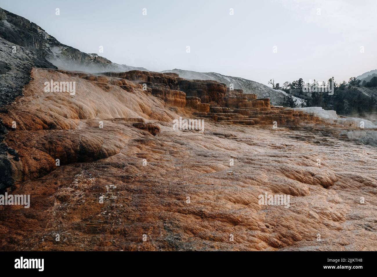 A closeup of the Sulfur deposits in Yellowstone National Park Stock Photo