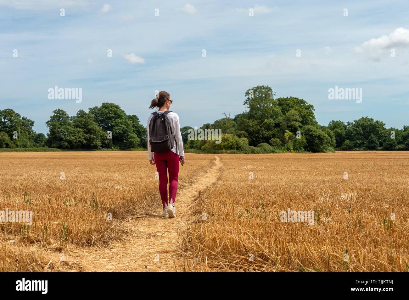 Woman walking through the countryside, harvested field. Stock Photo