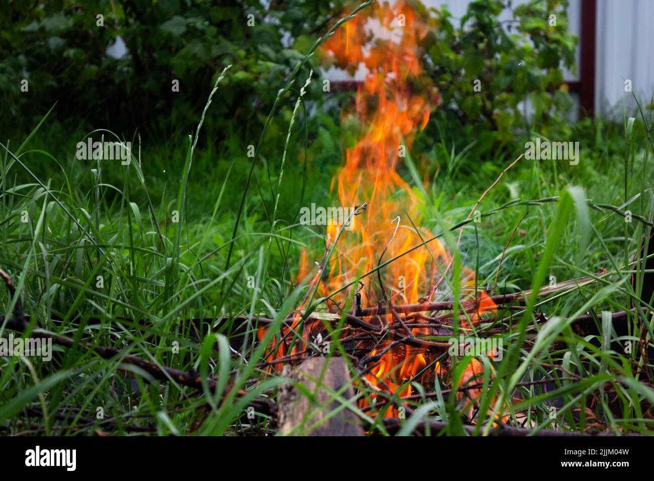 Bonfire on a background of green grass Stock Photo