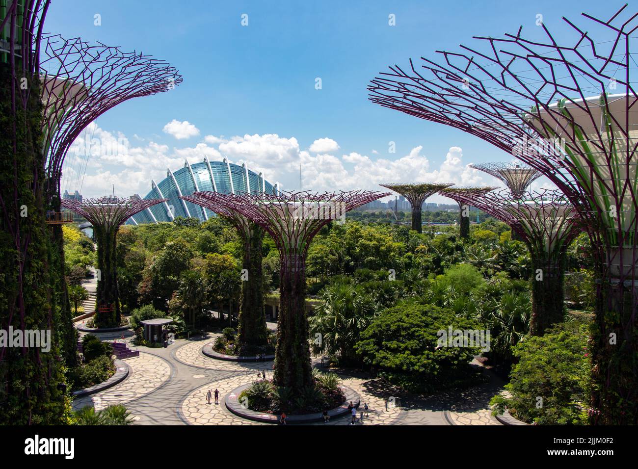 Garden gardens by the bay hi-res stock photography and images - Alamy