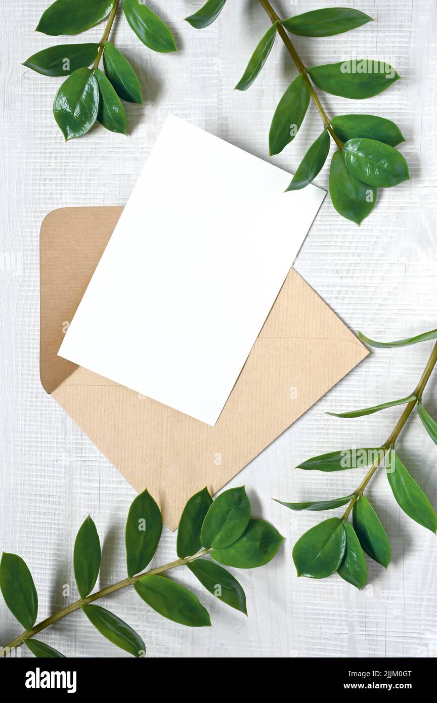 Mock up card with plants. Invitation card with envelope on white background. Stock Photo