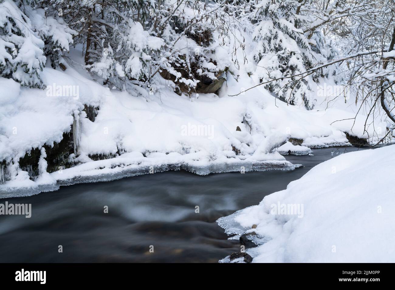 A snowy river in a forest in winter Stock Photo - Alamy