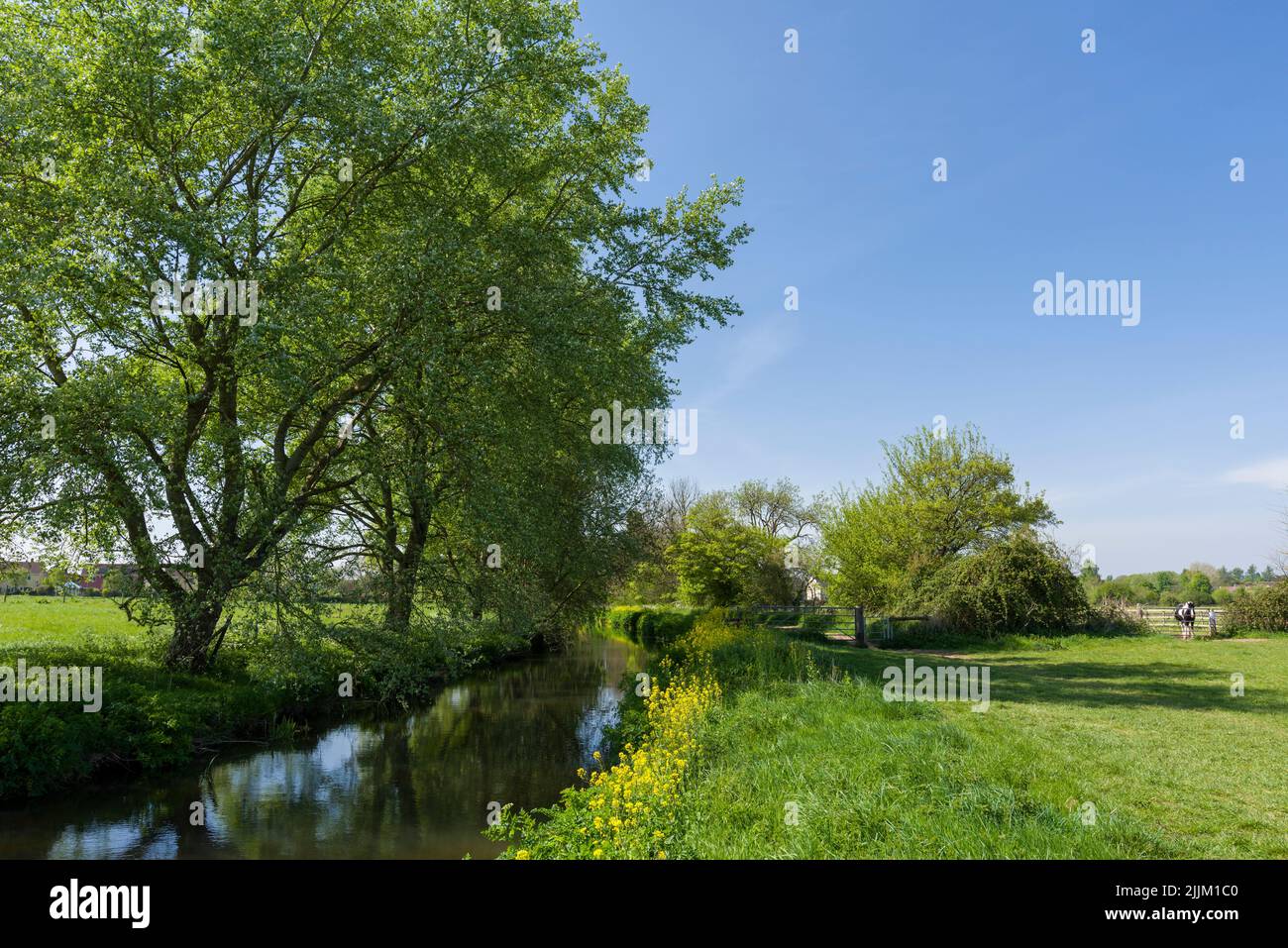 The River Yeo, also known as the Congresbury Yeo, along the Two Rivers Way at Congresbury on a sunny spring day, North Somerset, England. Stock Photo
