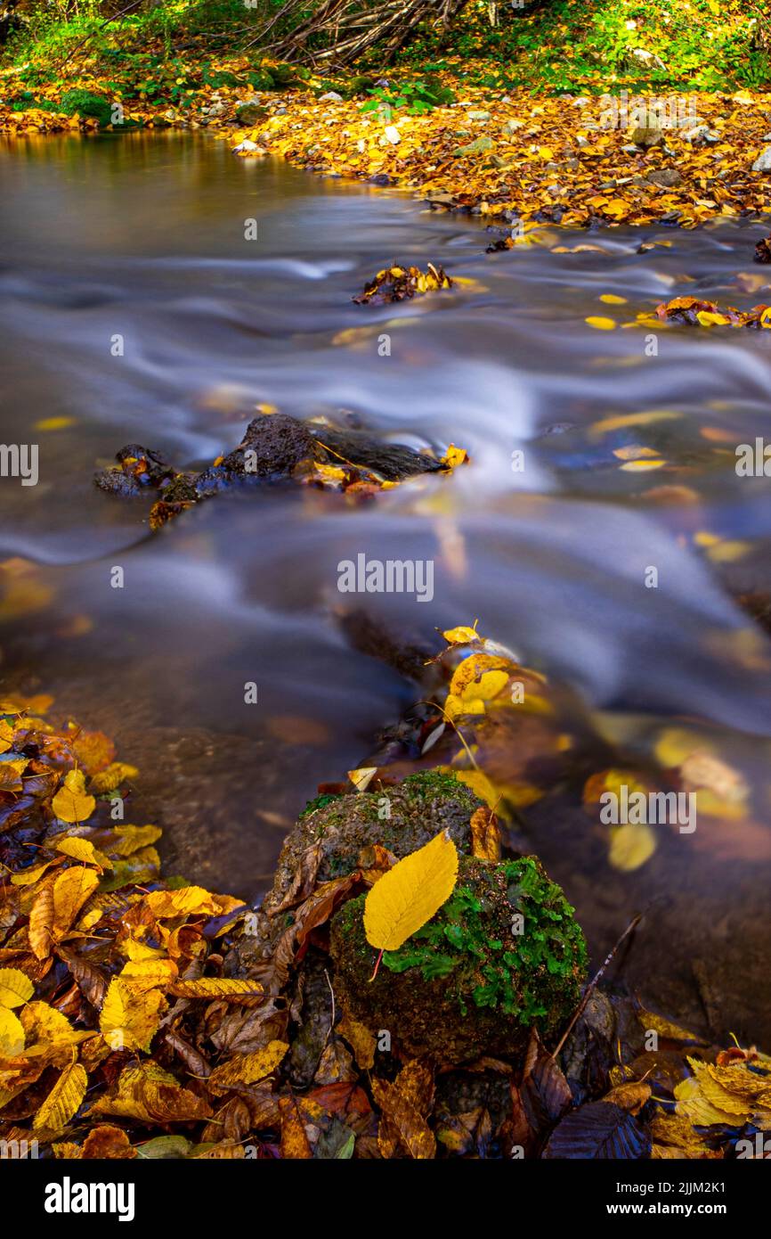 A vertical shot of a waterfall in a forest during the day Stock Photo ...